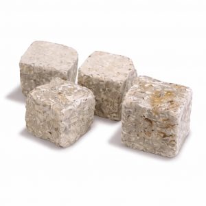 Muschelkalk Pflaster 10/10 cm